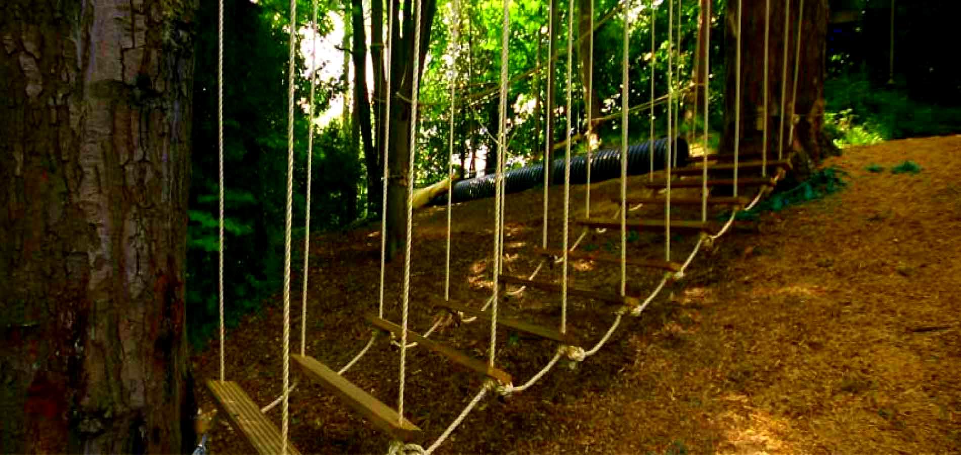 Low Rope Course Adventure Park India