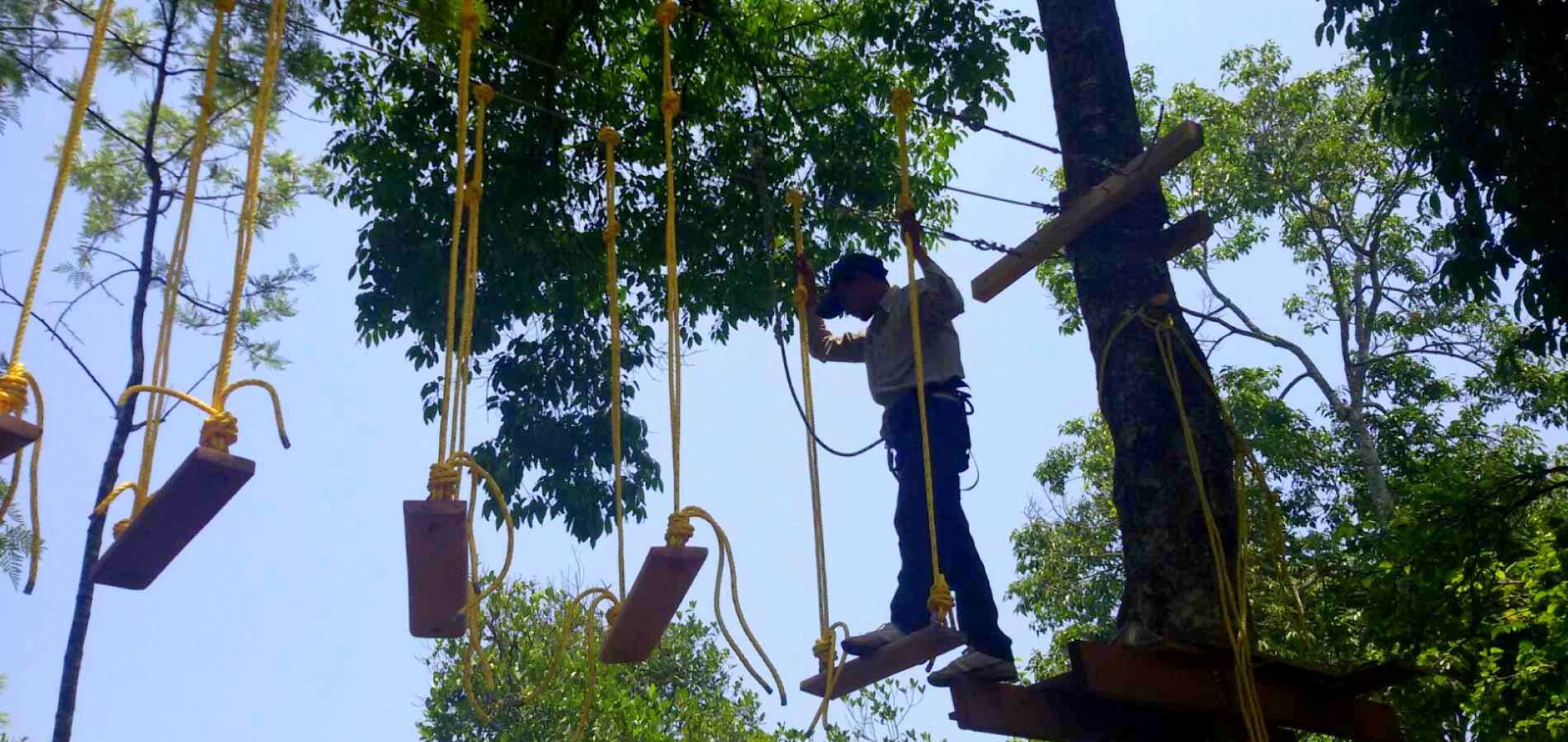 Challenge Tree Rope Course